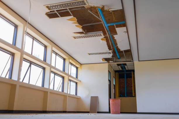 Best Flooded house restoration  in Tyrone, PA