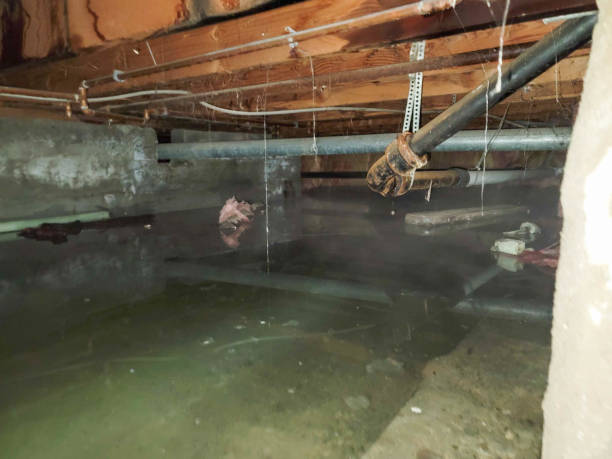 Best Emergency water damage restoration  in Tyrone, PA