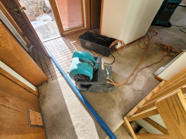 Best Professional water damage repair  in Tyrone, PA