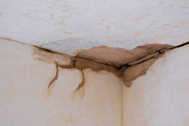 Best Local water damage restoration  in Tyrone, PA