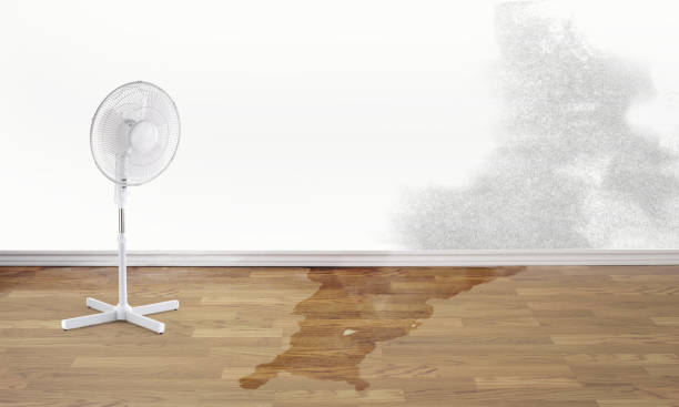 Best Water damage restoration near me  in Tyrone, PA