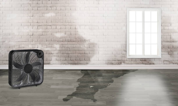 Best Water damage contractors near me  in Tyrone, PA