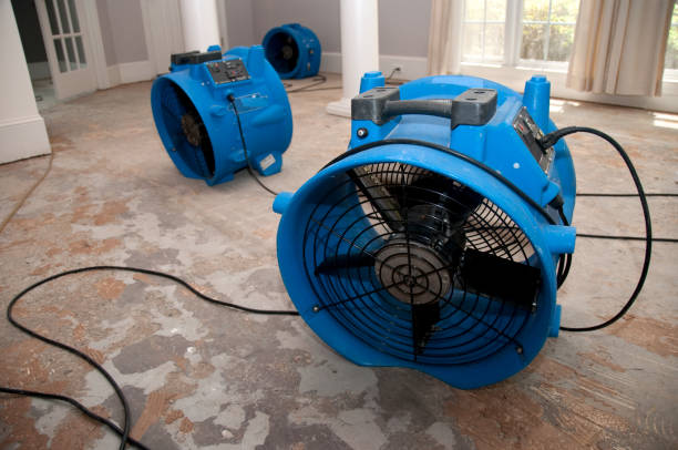 Water damage restoration insurance claims in Tyrone, PA
