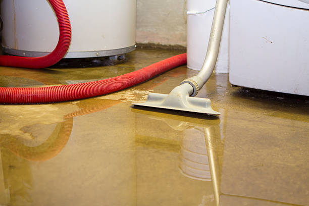 Best Sewage cleanup and water damage restoration  in Tyrone, PA
