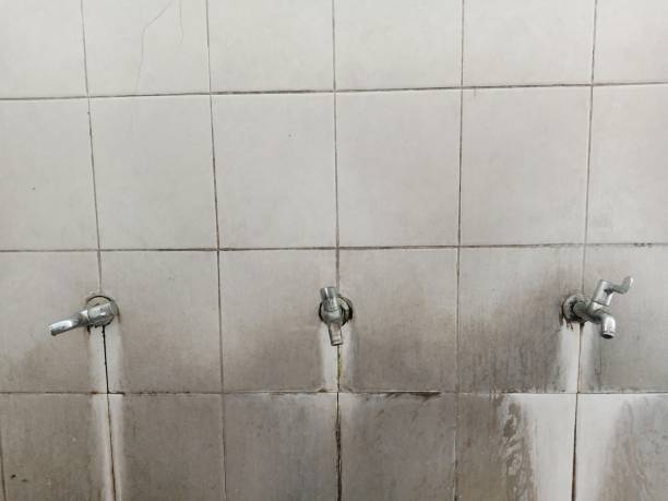 Best Water damage restoration experts  in Tyrone, PA