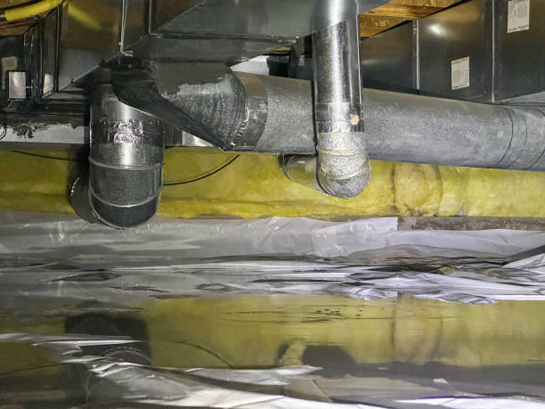 Best Flood damage cleanup  in Tyrone, PA